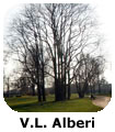 MI VL Alberi